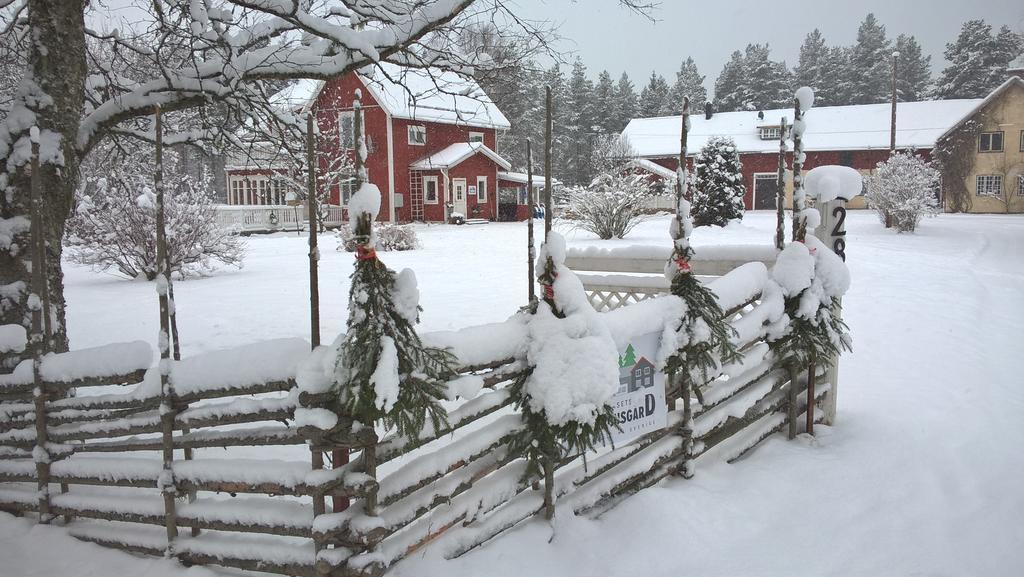 Naesets Marcusgard Villa Furudal Dış mekan fotoğraf